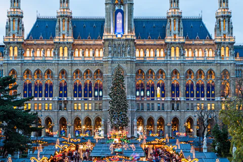 Christmas private day trip: from Budapest to Vienna & back