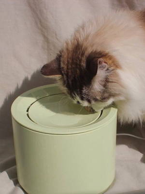 Petree Automatic Cat Water Fountain Dispenser