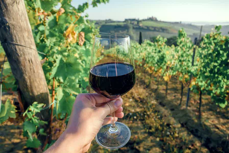 Small Group Wine Tasting Tour to Tuscany: a Petite Piece of Florence - photo 4