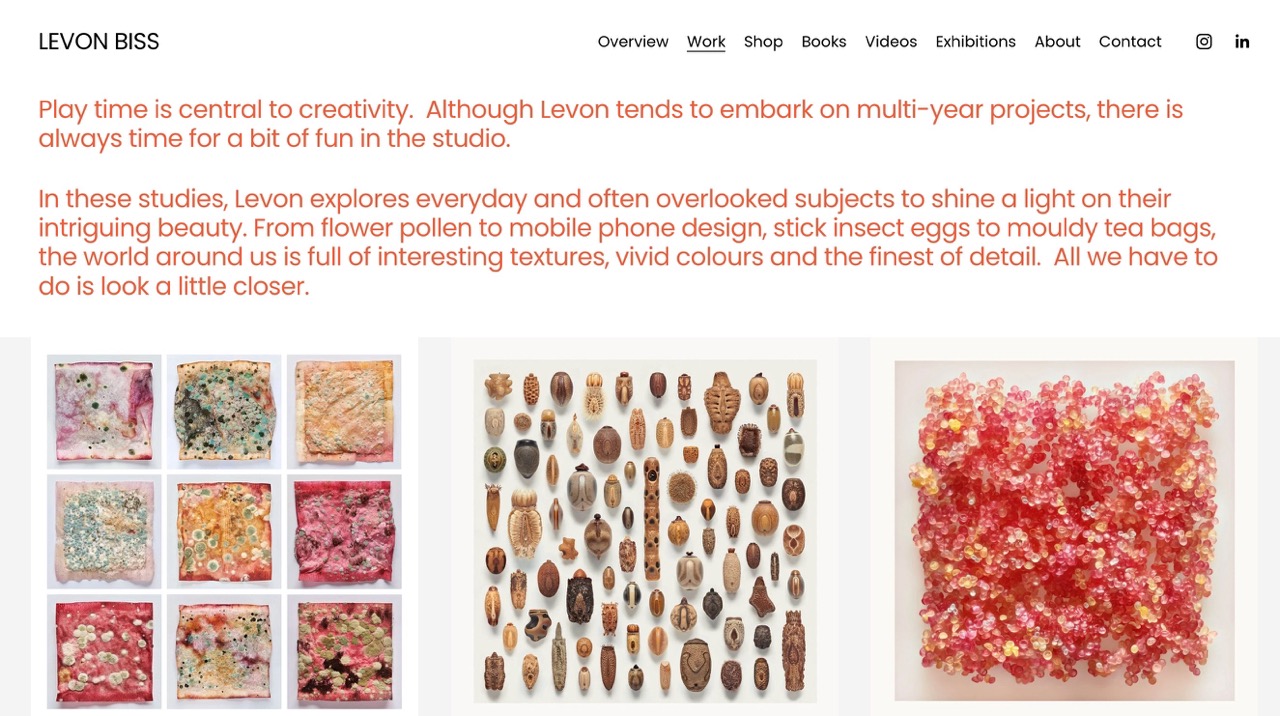 A seperate project page that opens on you clicking any of the image on the homepage.