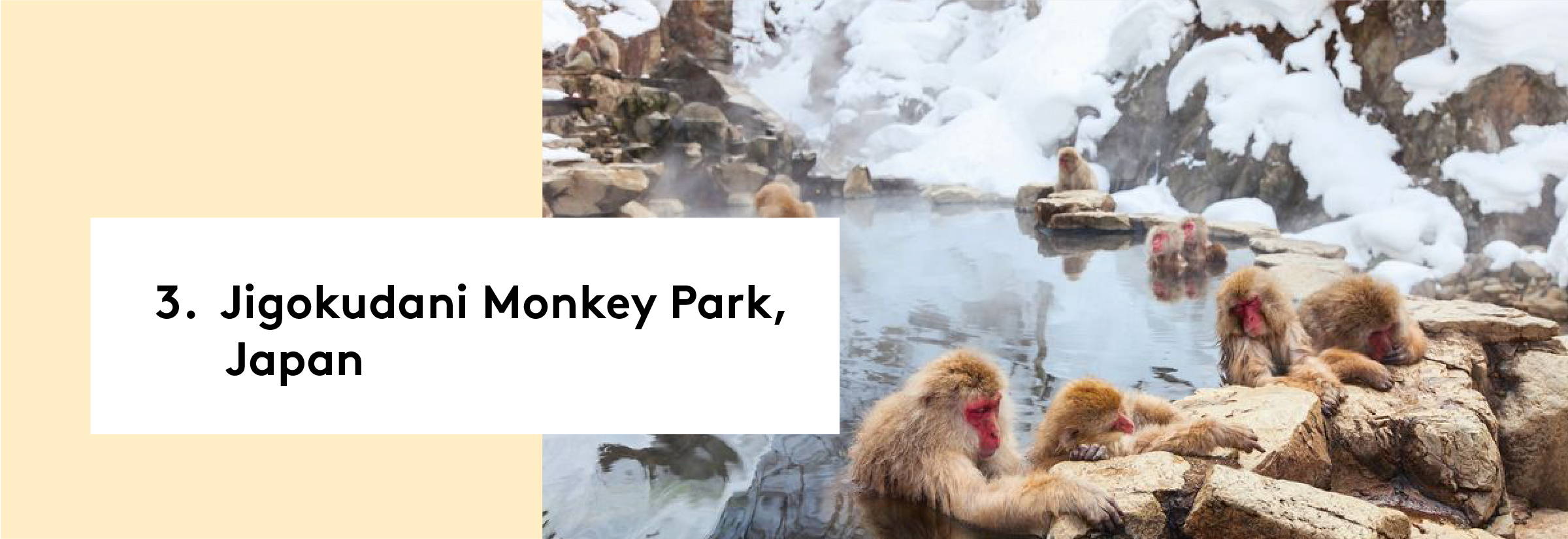 3. Jigokudani Monkey Park, Japan