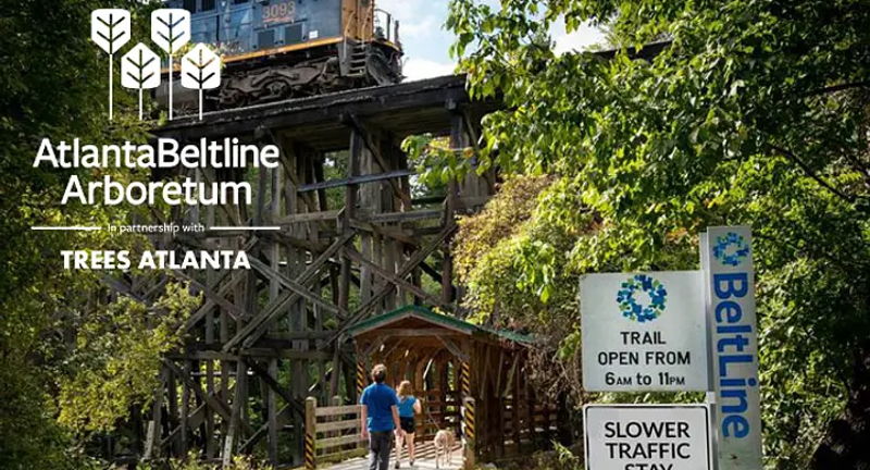 Sunset Tree Tour: Atlanta Beltline Arboretum Northside Trail