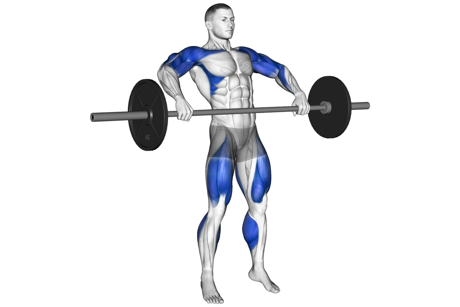 Performing snatch-targeting muscles 
