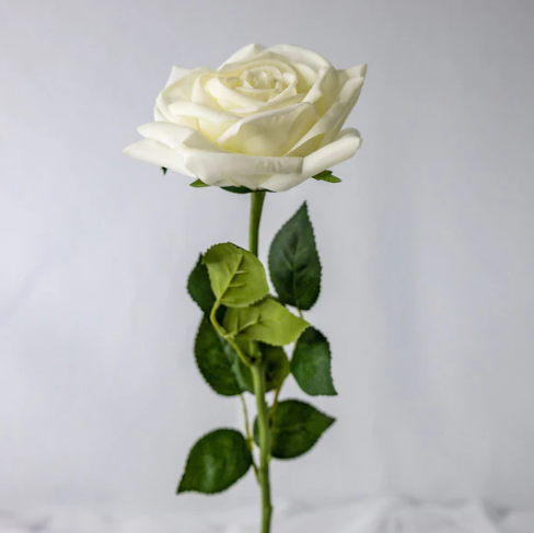 White Natural Real Touch Rose -Realistic Artificial Flowers - Image 2