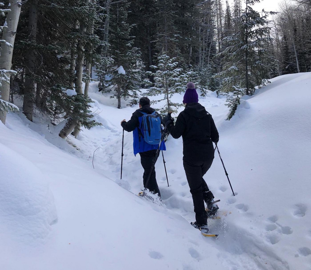 Join-in Snowshoe Adventure image