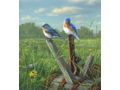 Spring Meadow - Bluebirds by James Hautman