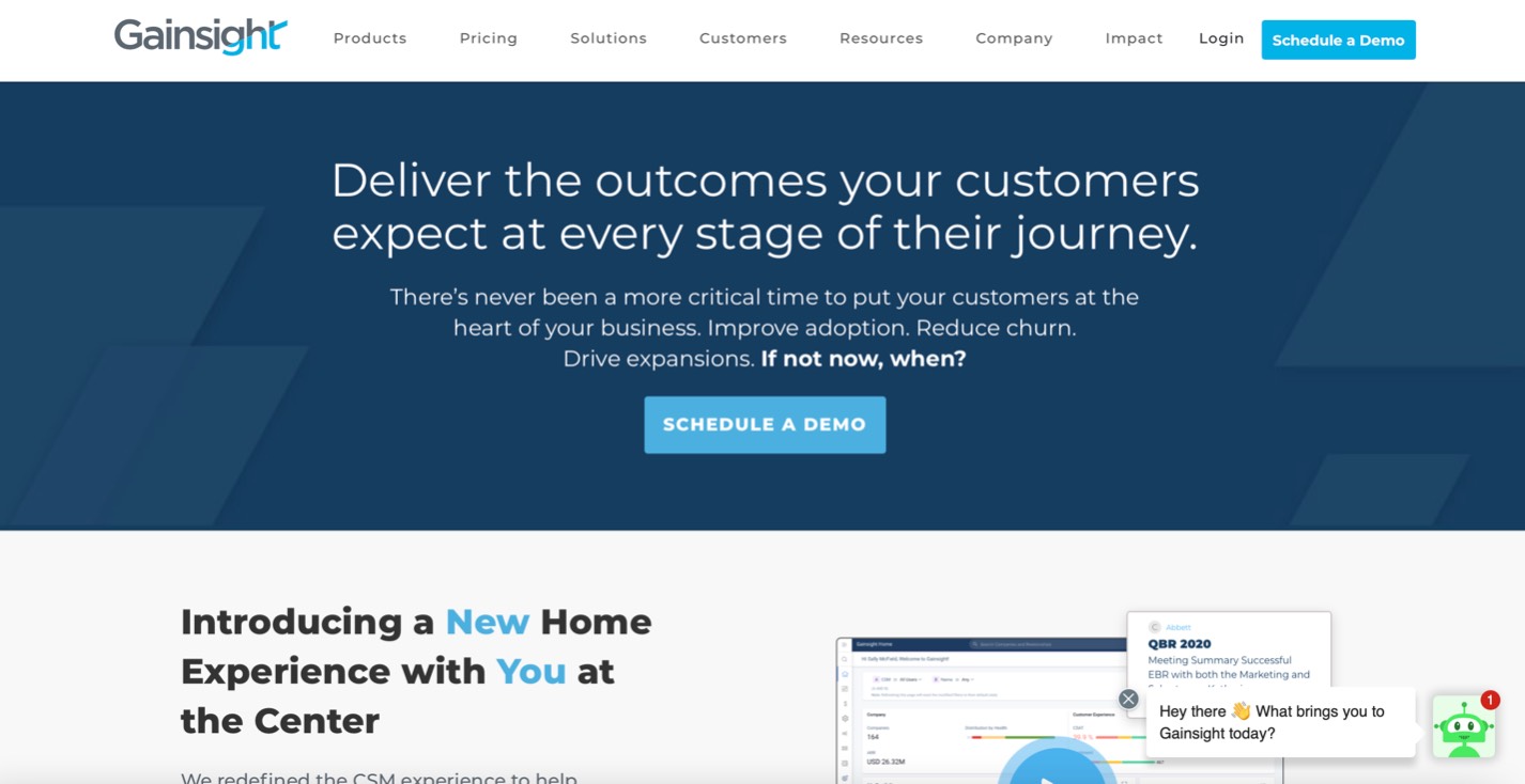 Gainsight product / service