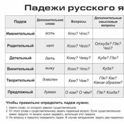 Падежи русского языка. — Шаг 1 — Stepik