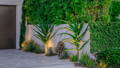Havit garden spike lighting illuminating feature plants along residential driveway