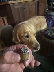 Cigar Session Photo