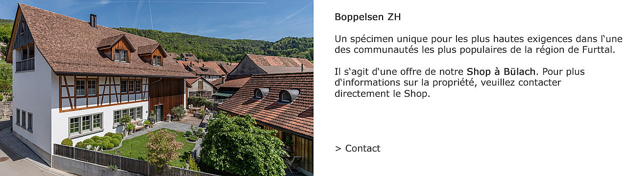  Zug
- Spéciment unique à Boppelsen