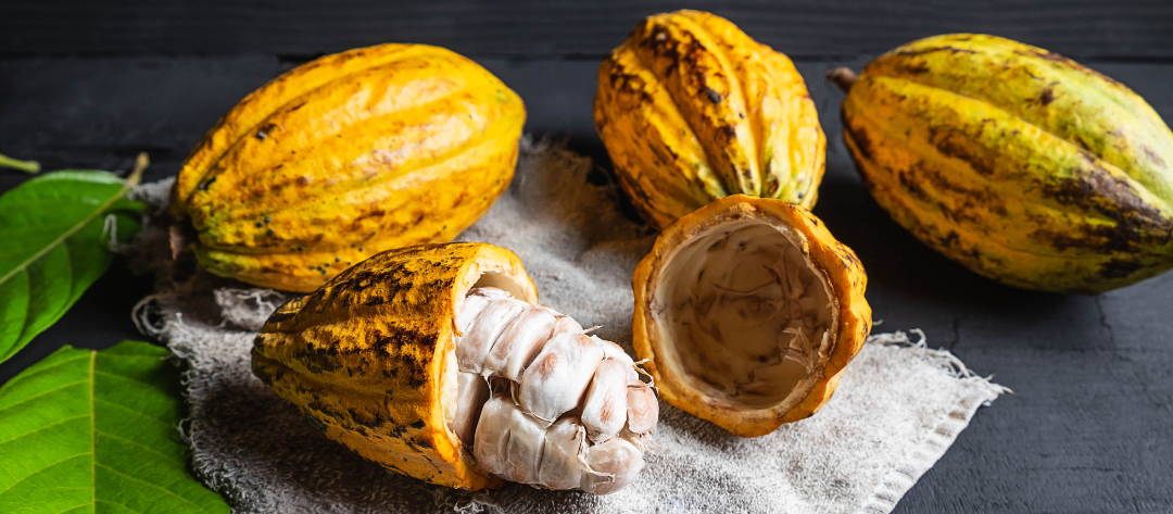 フスボンのチョコレートではカカオバターのみで他の植物油性は使用していません