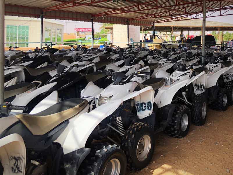 Desert Safari with BBQ Dinner, Camel Ride & Quad Biking - photo 1