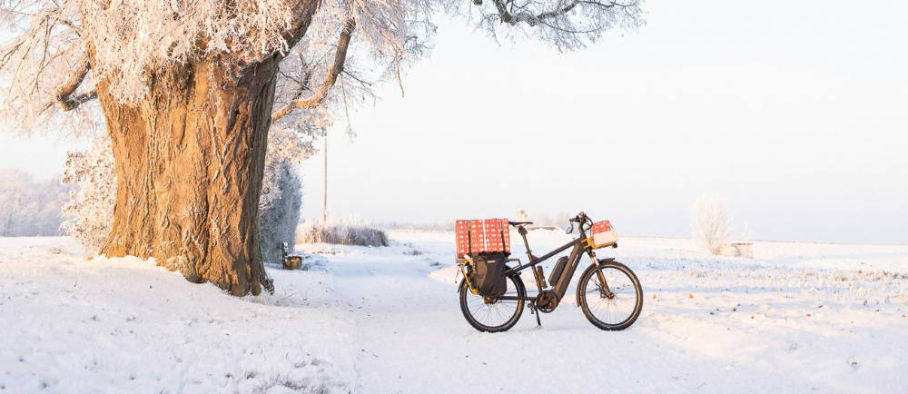 Riese and Muller electric bike in snowy trail