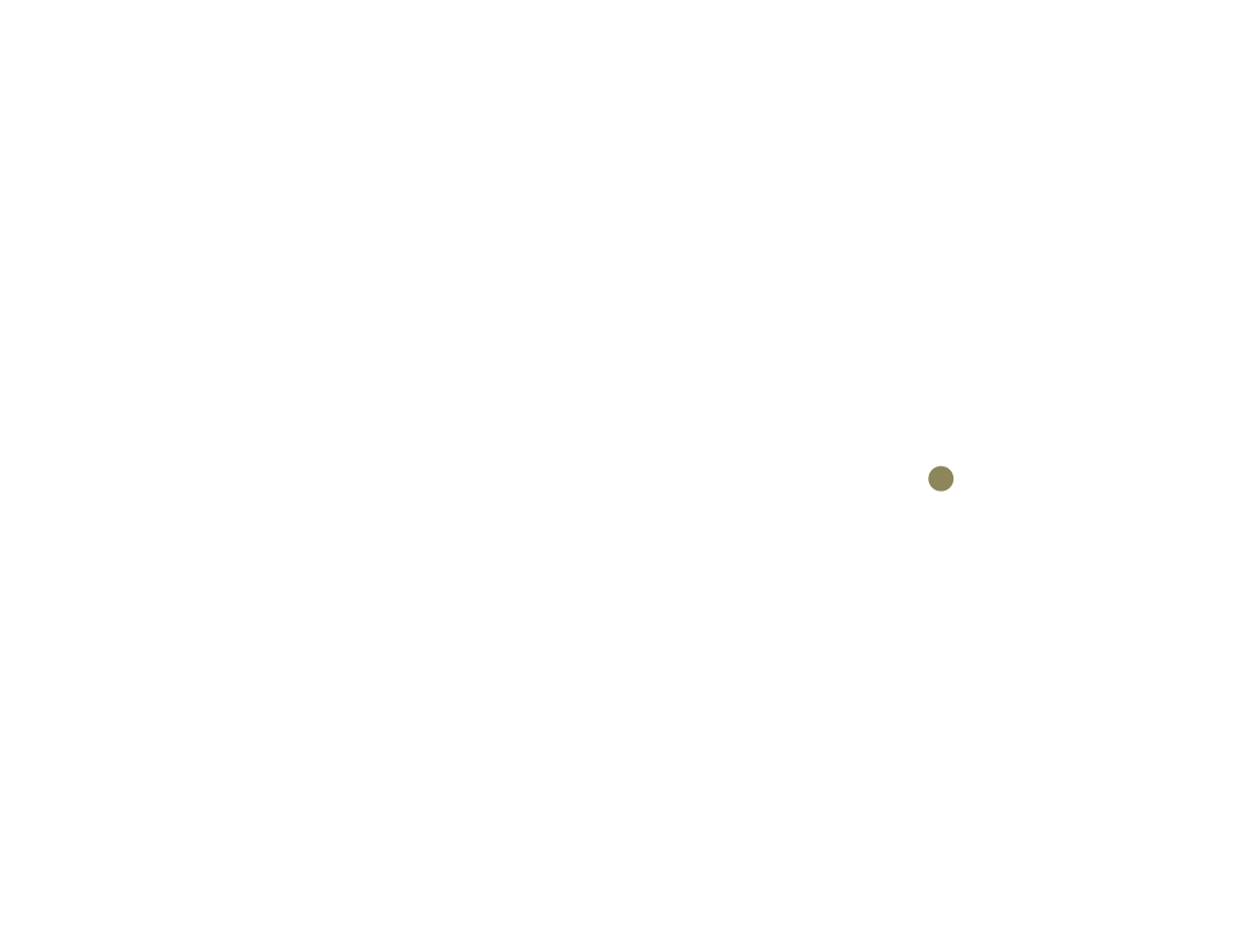 PATRICIA MUSA Logo