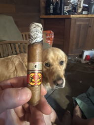 Cigar Session Photo