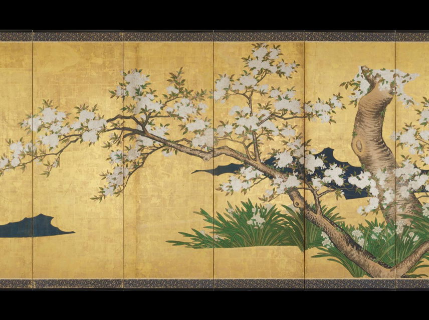 Image Credit: Cherry Trees with Narcissus, Violets, and Dandelions. Japanese, Edo Period, ca. 1600-1868. Color, Ink, and gold on paper. 63 3/4 × 140 15/16 in. (161.9 × 358 cm). Purchased with the Lillie and Roy Cullen Endowment Fund, 2020.13.a