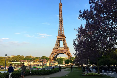 Eiffel Tower Elevator Tour with Optional Cruise