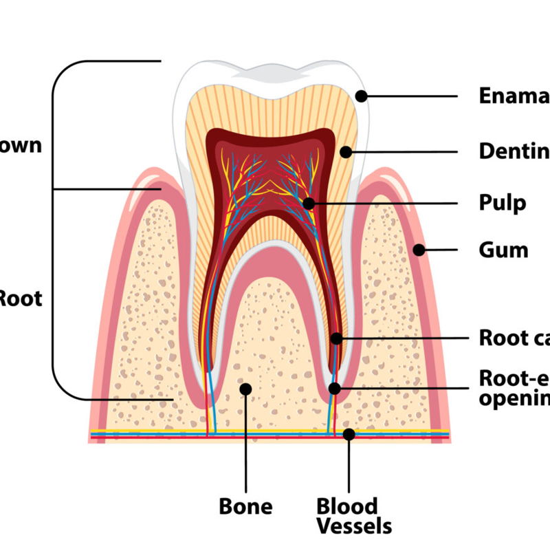 root canal treatment singapore cover
