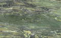 Verde Dorato Granit – grünlich-goldener Naturstein mit lebendiger Zeichnung