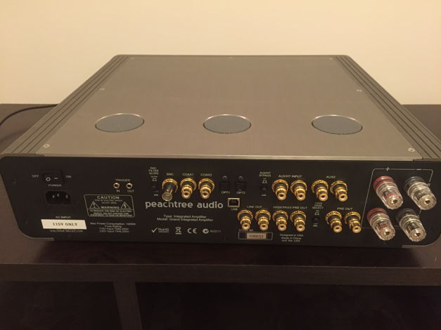 Peachtree Audio Grand integrated Top of the line X1 int...