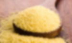  Catania: Cous Cous, tra tradizione e cultura