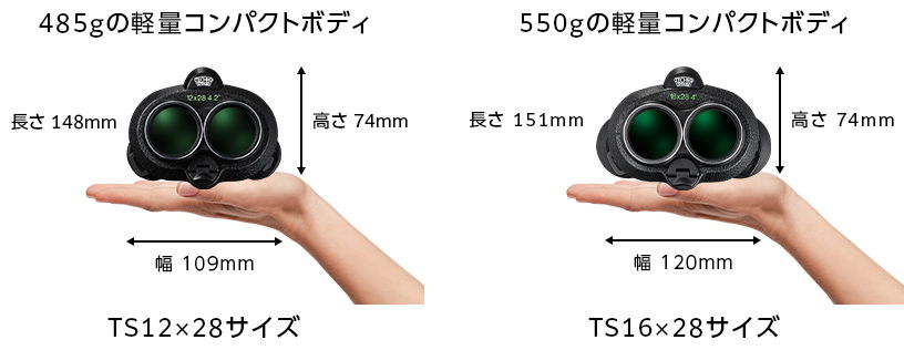サイズ