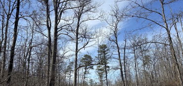 Michaux State Forest Guided Tour near Fayetteville, PA