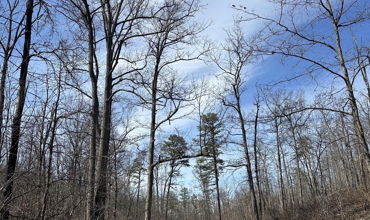 Michaux State Forest Guided Tour