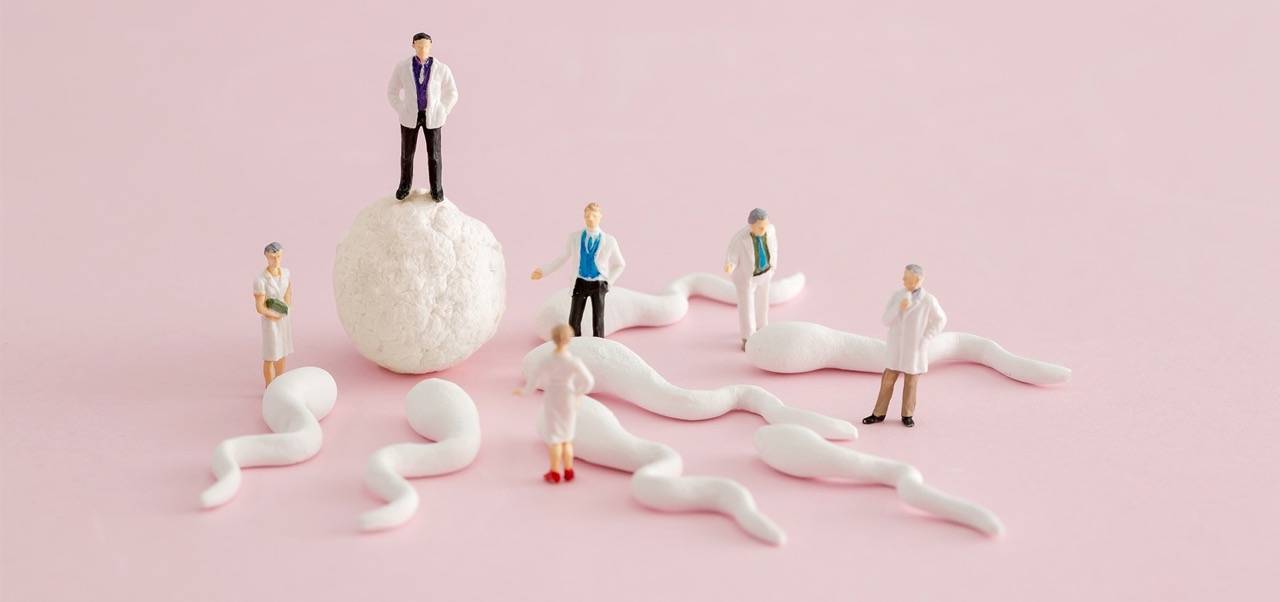 Installation von Spermien die auf eine Eizelle zuschwimmen zwischen welchen menschliche Figuren stehen