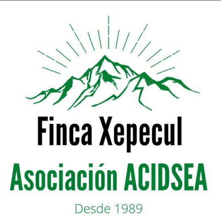 Logo acidsea