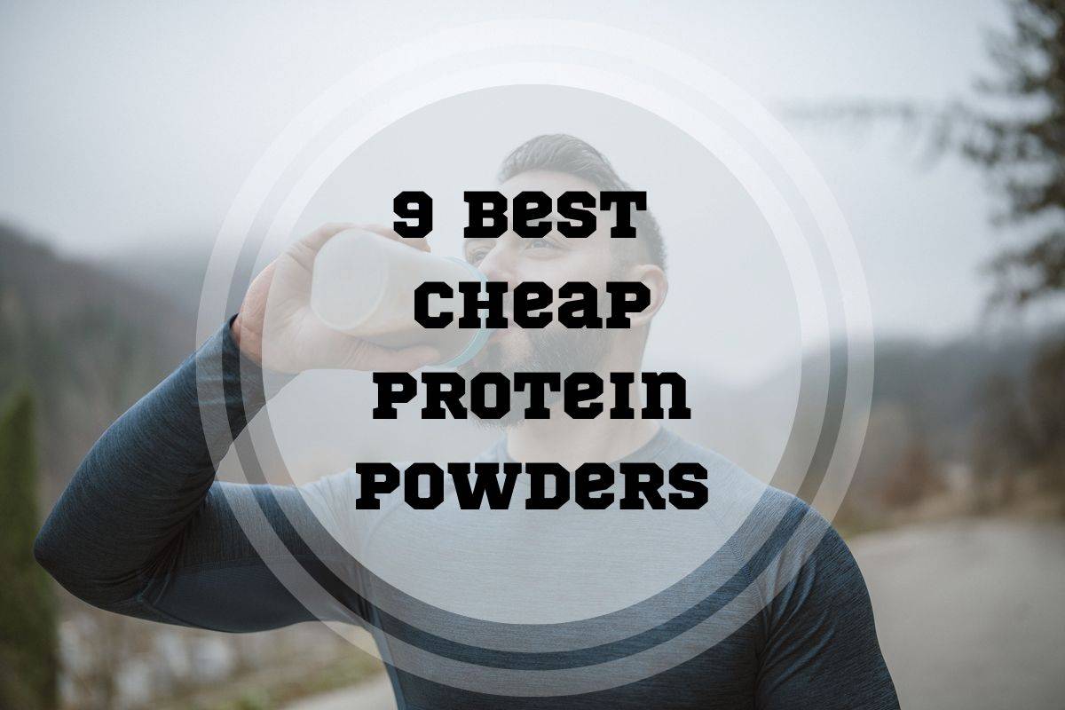 Best Cheap Protein Powder