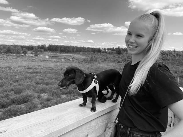 Anke Stessens
