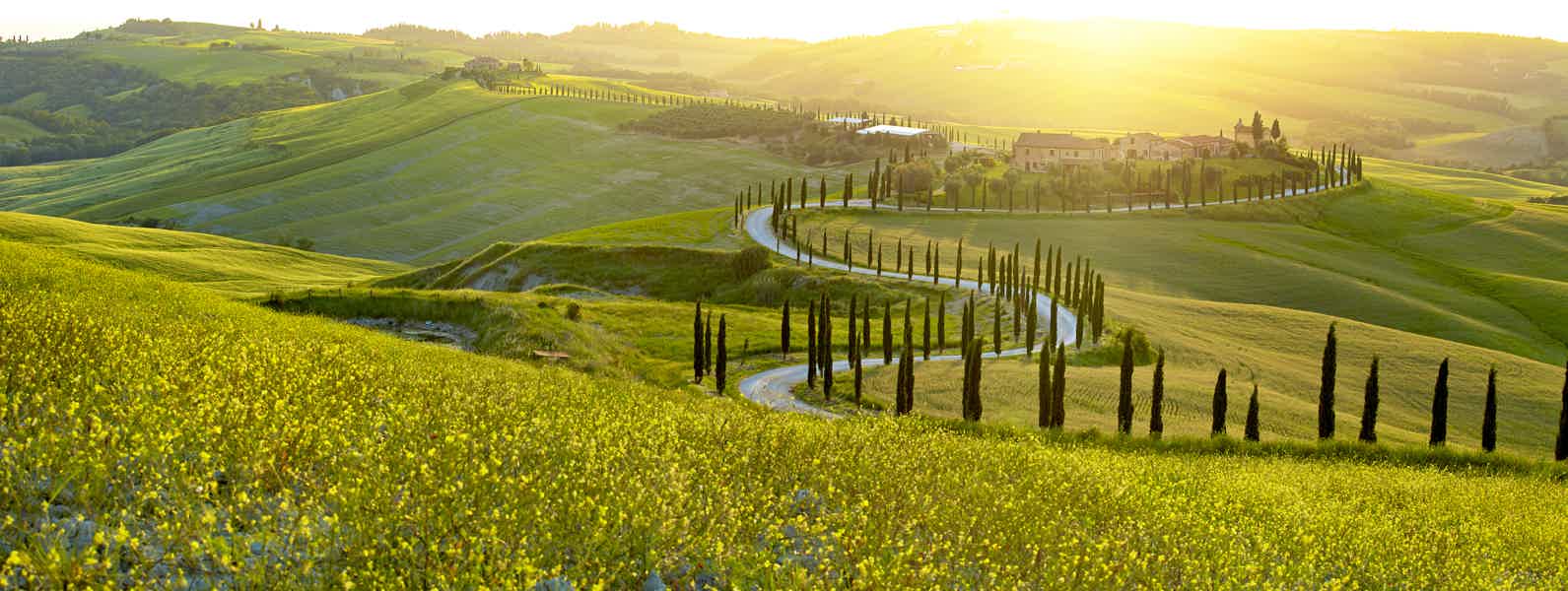An impressive piece of Florence: Tuscany Wine Relishing Whole-Day Trip - photo 5