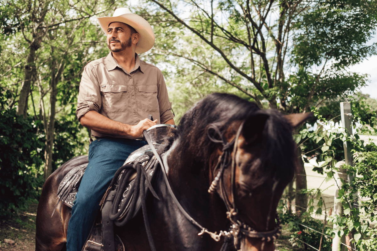 Man riding horse