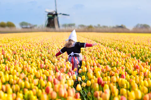 Keukenhof Tulips & Zaanse Schans Countryside Day Trip