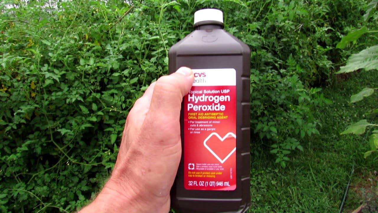 Hydrogen peroxide is a powerful disinfectant that will kill bacteria like staph and viruses like the H1N1 virus, SARS and coronavirus.