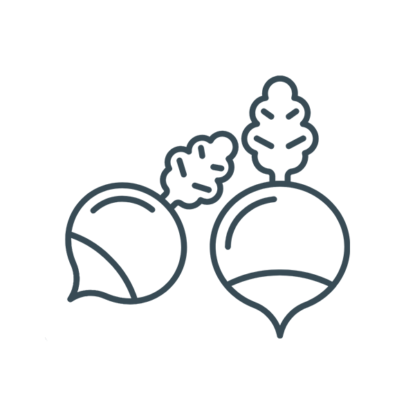 Probiotic strains found in our best probiotic supplement