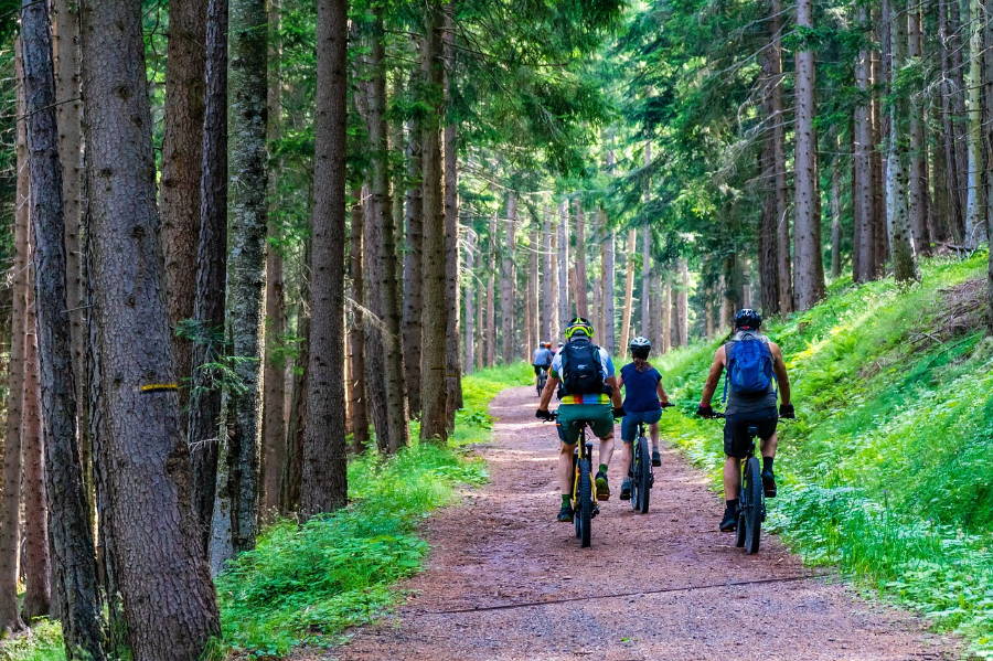 森林をサイクリングする人々