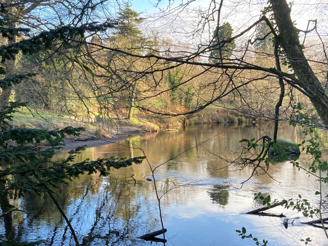 A body of water with trees around it

Description automatically generated with medium confidence