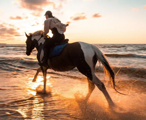 Sunset Horse Riding Experience in Belek
