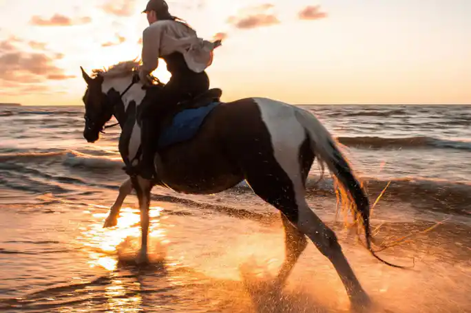 Sunset Horse Riding Experience in Belek
