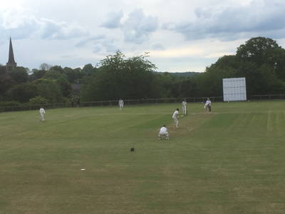 Wentworth Cricket Club Logo