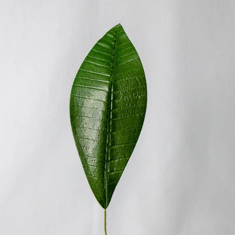 Pointed Frangipani Leaf (12 Pack) - Realistic Artificial Flowers and Greenery - Image 2