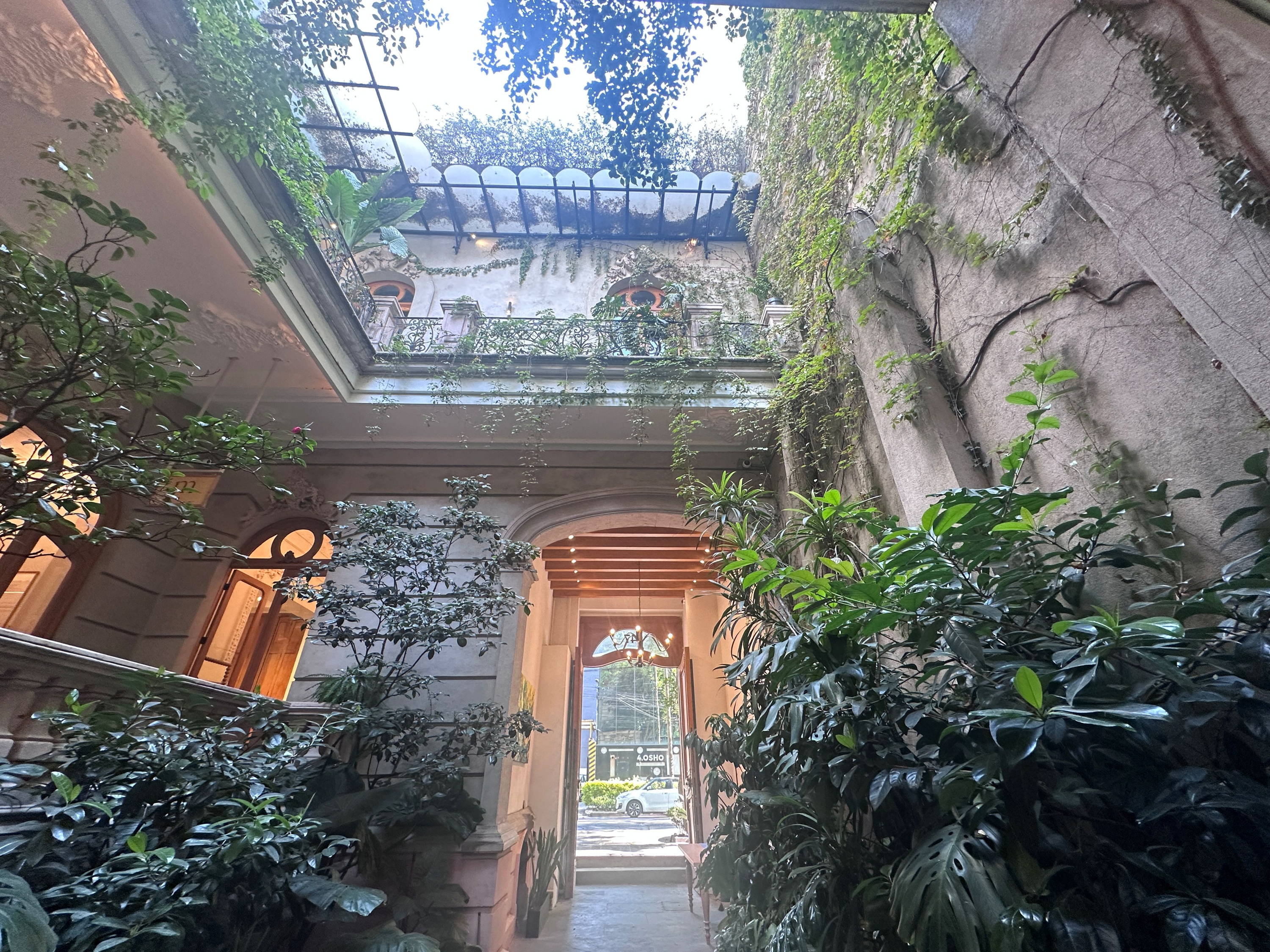 Monstera plant on sidewalk in Mexico City