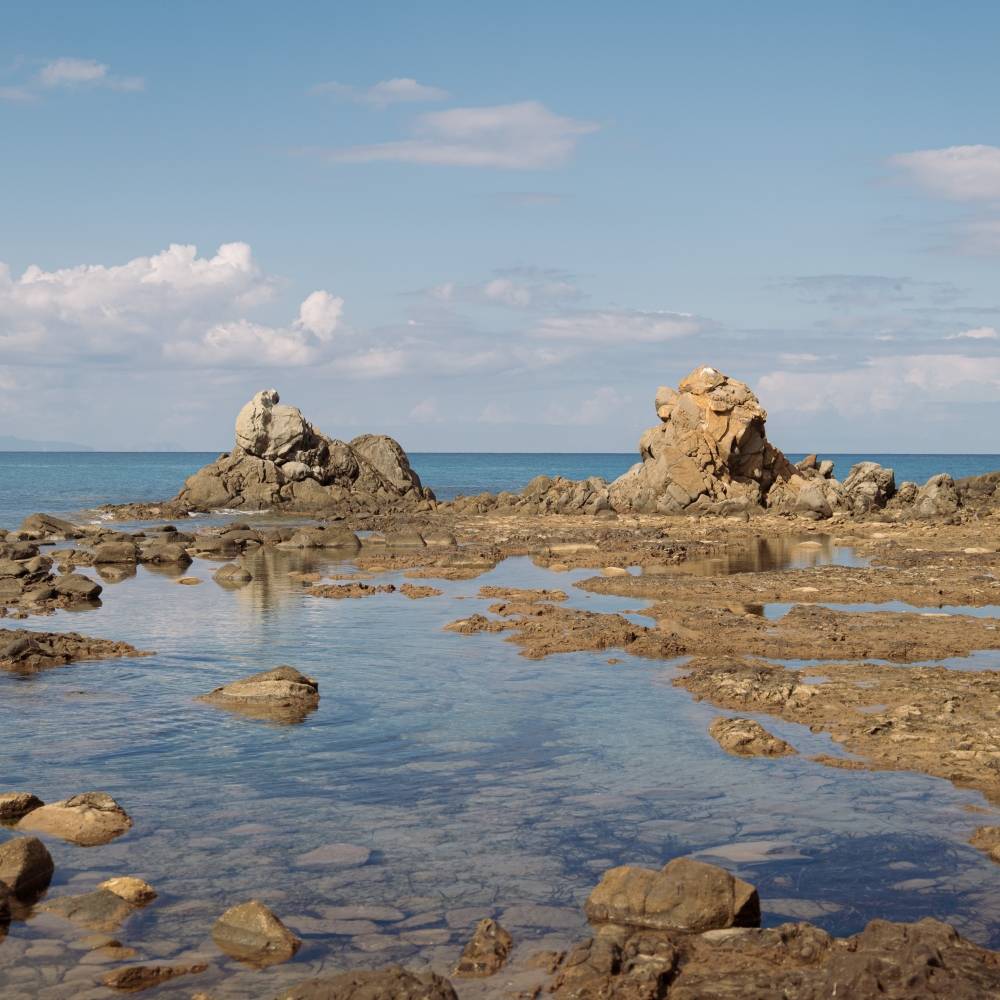 TUTELIAMO IL MARE 2026 - Davines