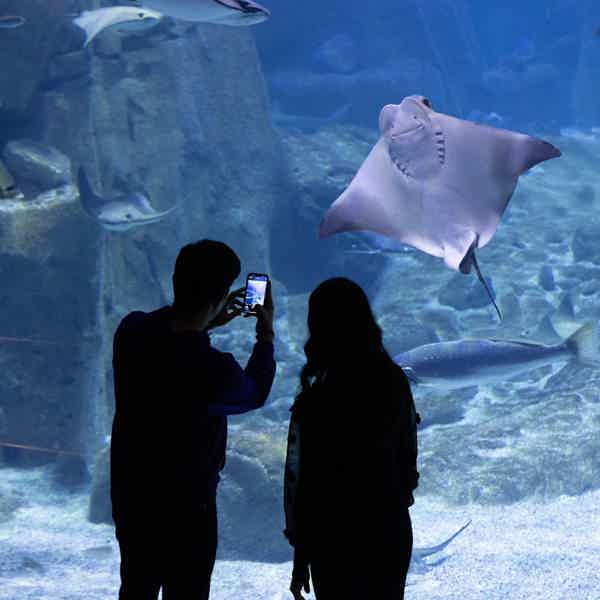 Istanbul Aquarium Florya with Transfer - photo 6