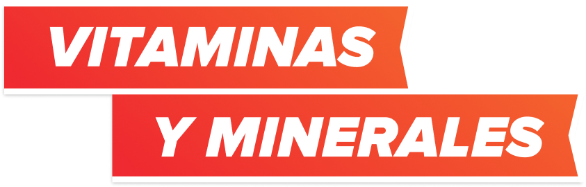 VITAMINAS Y MINERALES