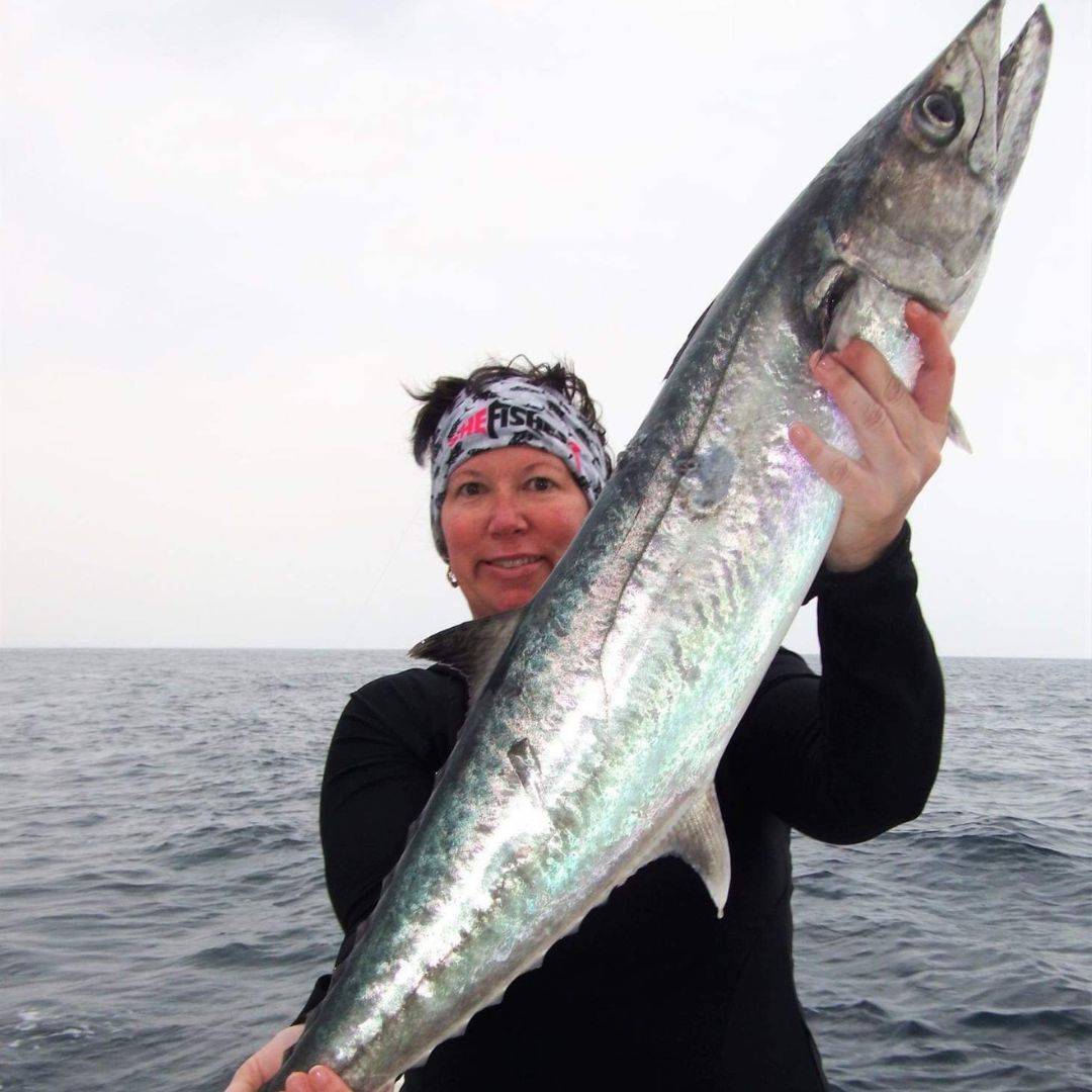 how to troll for kingfish