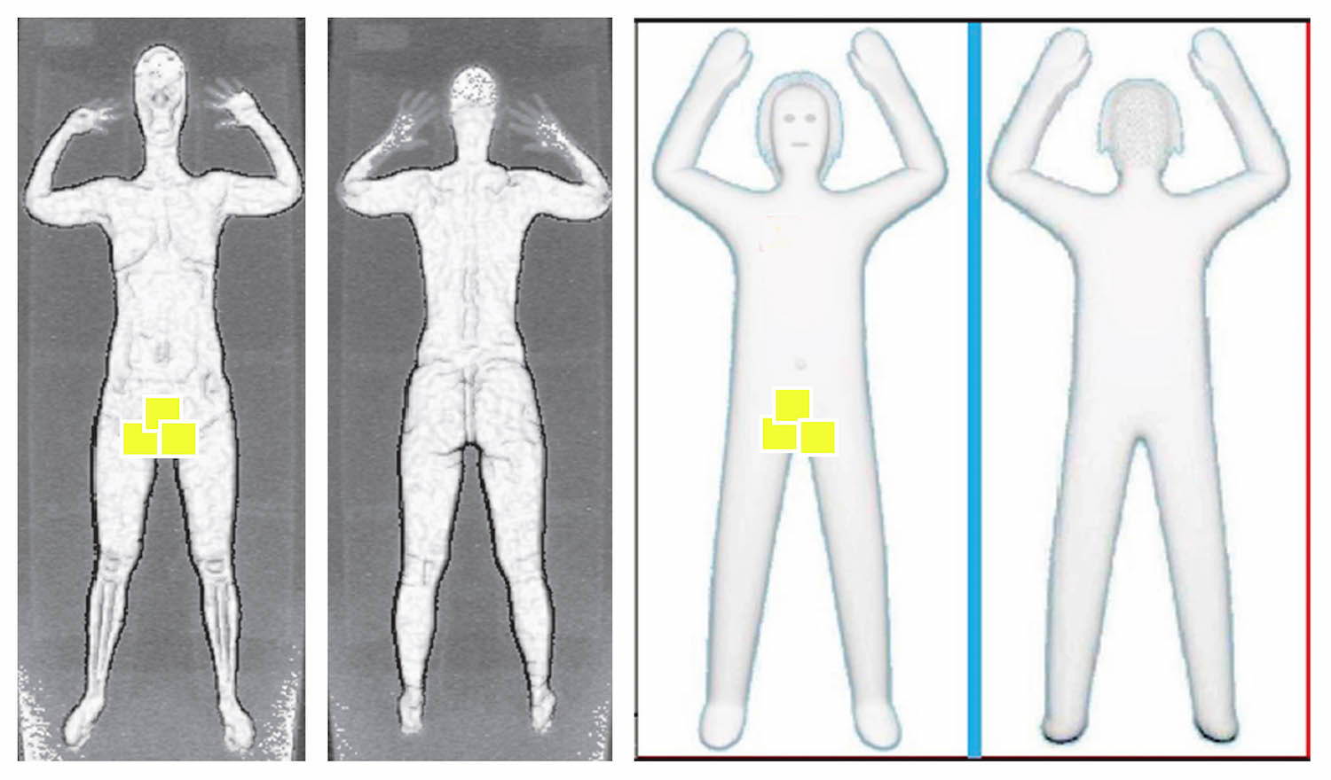 Chastity pass TSA body scan